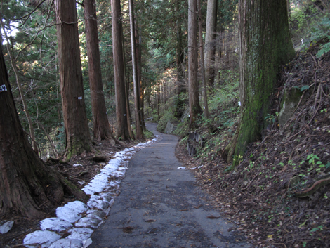 20151127hike (299)